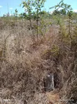 Eneo la Eka Mbili Mwala - 2