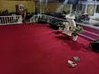 Quality Wall-to-Wall Delta Carpet (4mm) - 1