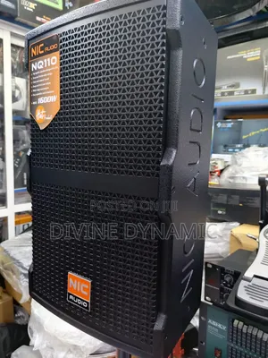 NIC AUDIO 12-Inch Midrange Speaker