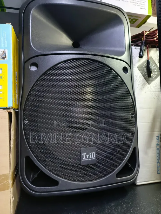 Trill 15-Inch Midrange Speaker - 1
