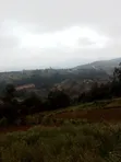 2 Acres Kimende Land with Rift Valley View - 2