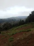 2 Acres Kimende Land with Rift Valley View - 3