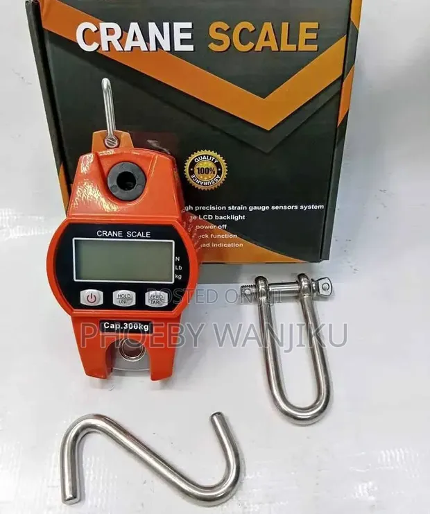 Heavy-Duty 300kg Digital Crane Scale - 1