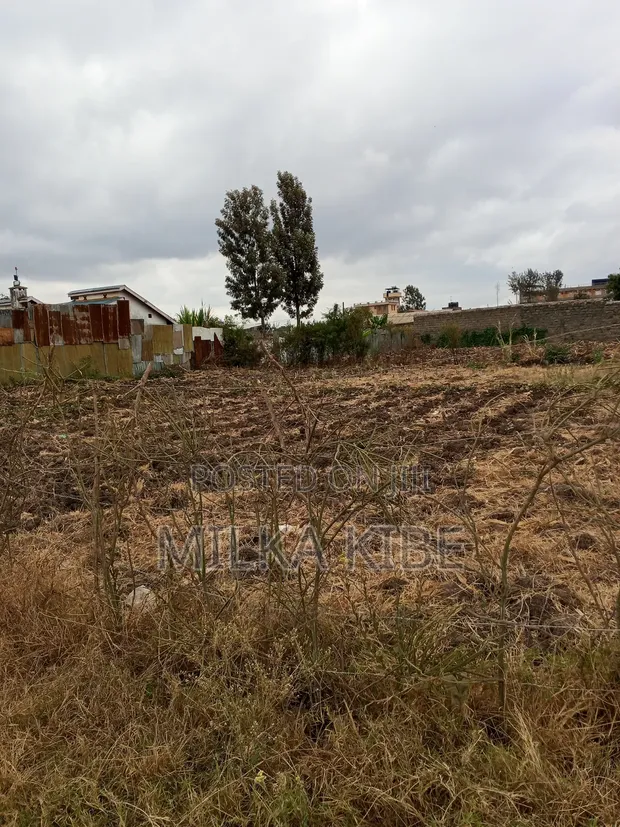 Ardhi ya Biashara Inauzwa - Kiganjo, Thika - 1