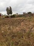 Ardhi ya Biashara Inauzwa - Kiganjo, Thika - 2