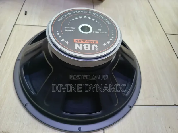 Brand New JBN 15-Inch Naked Speaker - 1