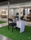 Caterina Chair and Office Table - 1