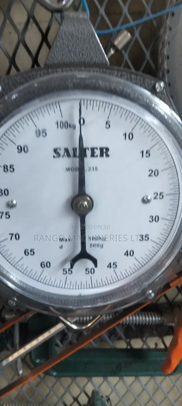 Salter 100kg Analog Weighing Scale - 1