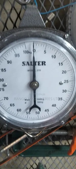 Salter 100kg Analog Weighing Scale
