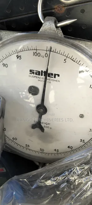 Salter Hanging Scale ya Biashara 100kg