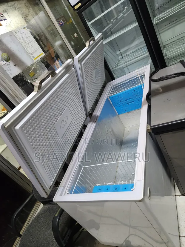 Ramtons Deep Freezer Ya Biashara 600L - 1