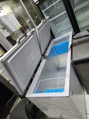 Ramtons Deep Freezer Ya Biashara 600L