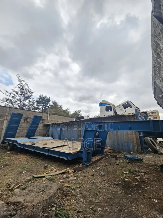 4-Axle Multi-Axle Low Loader inauzwa - 1