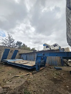 4-Axle Multi-Axle Low Loader inauzwa