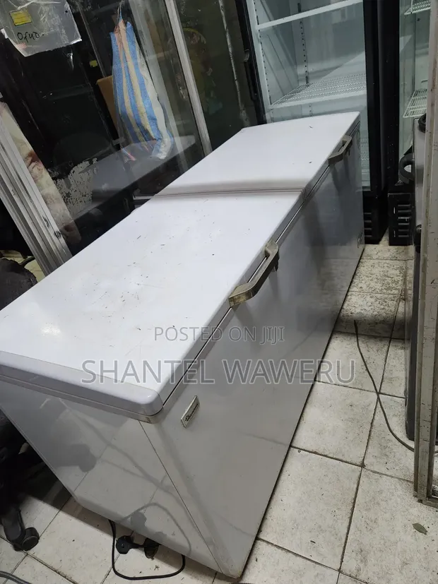 Ramtons 600L Commercial Chest Freezer - 1