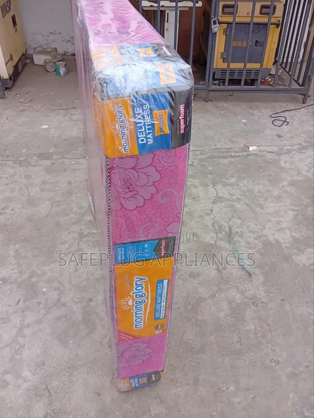 Medium Density 6-Inch Foam Mattress - 1