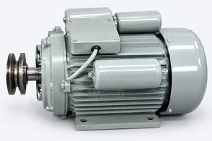 High Speed AstraMilano 2HP Motor