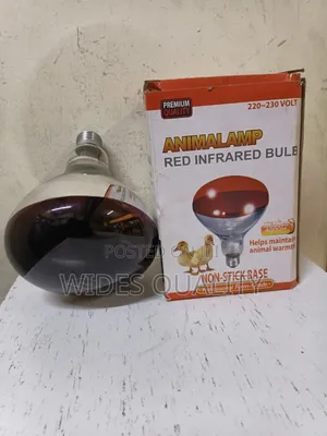 Animalamp Red Infrared Bulb for Brooding Chicks