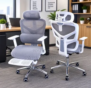 Premium Ergonomic Office Chair with Headrest & Footrest