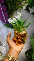 Elegant Flowers Home Decor - 2