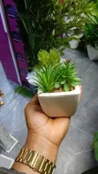 Maua ya Succulent - Mapambo ya Kifahari ya Ndani - 1