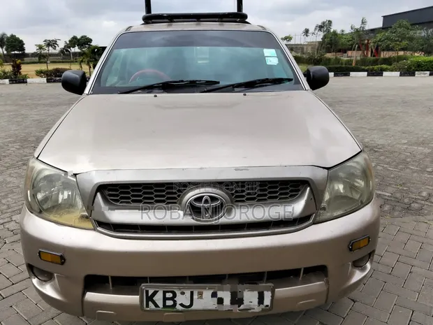 Toyota Hilux 2.5 D-4D SRX 2009 Brown - 1