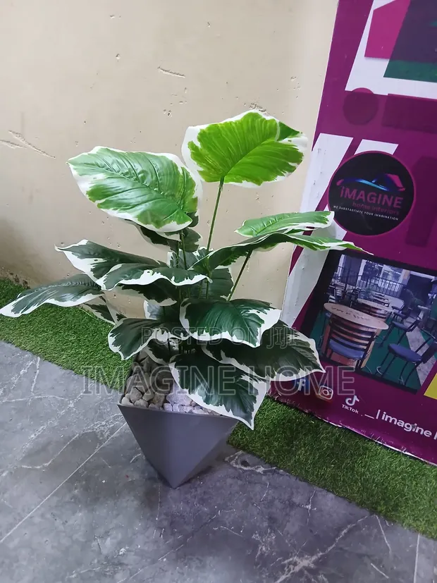 Mmea Bandia wa Better Homes & Gardens - 1