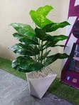 Mimea Bandia ya Luxury Touch - 1