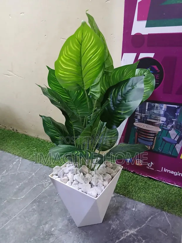 Mimea Bandia Mpya kutoka Better Homes & Gardens - 1