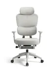 Kiti cha Ofisi cha Mtendaji chenye Ergonomics - Kinachoweza Kurekebishwa - 2
