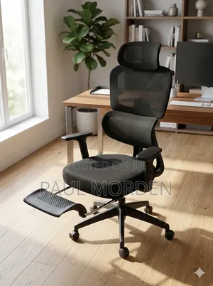 Modern Executive Chair with Adjustable Armrests