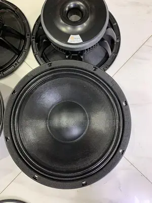 Dexo 12" Speaker - Mpya Kabisa