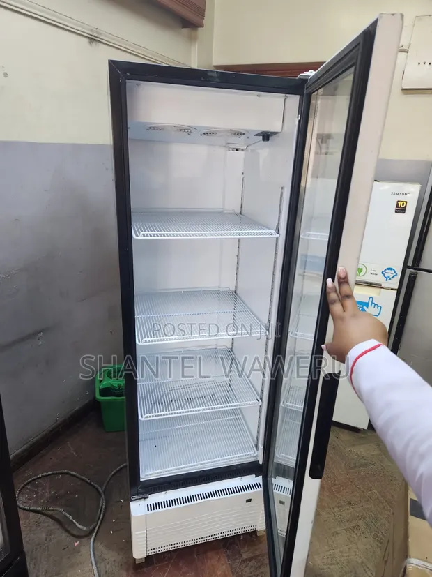 Africa Display Fridge 400 Litres - 1