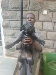 Female Mixed Breed Labrador Retriever, 6-12 Months - 1