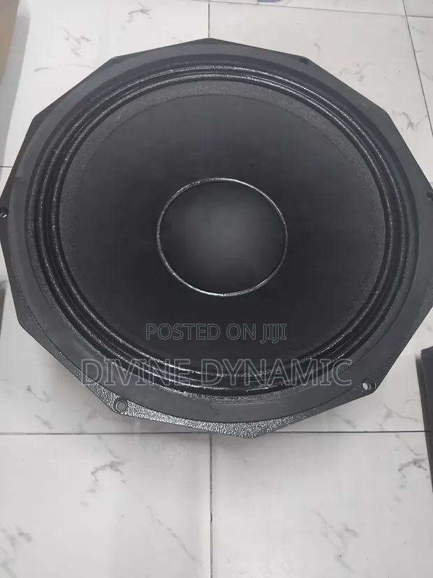 JBL Naked Speaker 12 Inches - 1