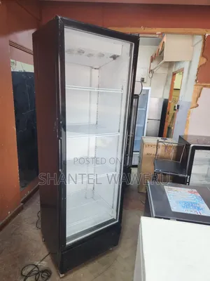 Chiller ya Kuonyesha Biashara - Lita 600