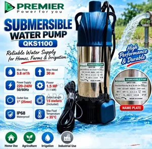 Premier QKS1100 1.5HP Submersible Water Pump
