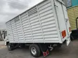 Isuzu NPR Lorry - 1