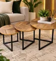Elegant Wooden Nesting Coffee Tables Set - 1