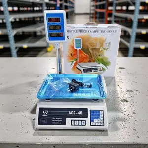 Precise Electronic ACS 40 Digital Weighing Scale (40kg)