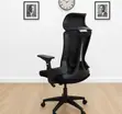 Kiti cha Ofisi cha Ergonomic chenye Msaada wa Mgongo - Kipya Kabisa - 1
