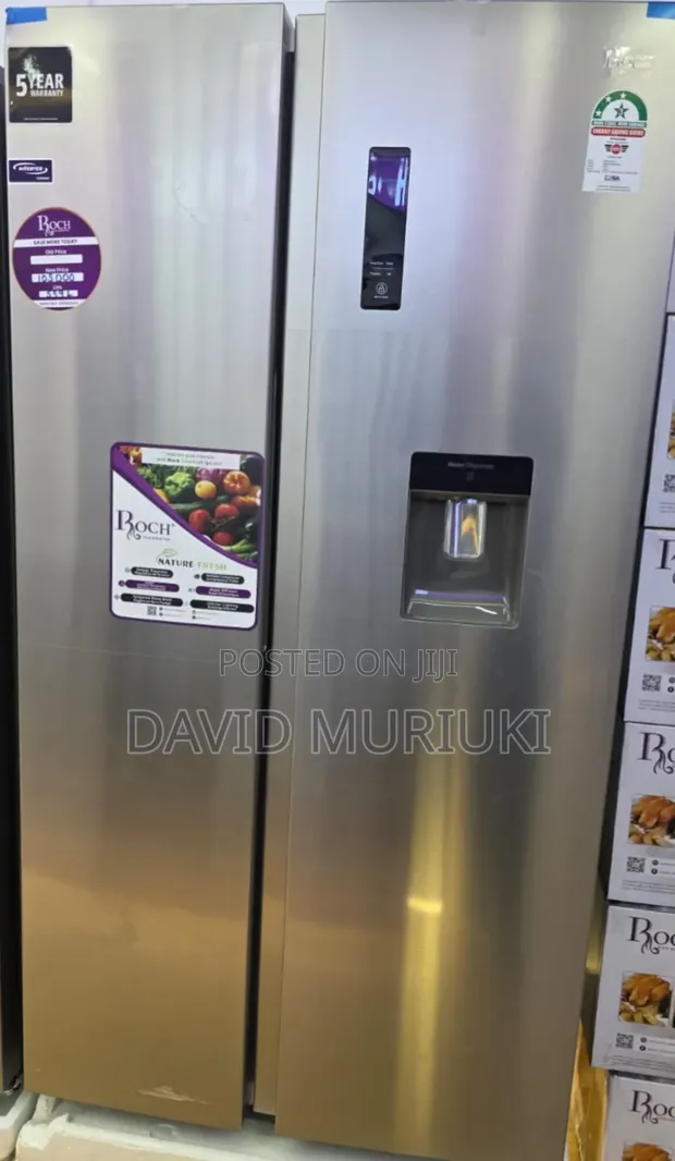 Roch 559L Side-by-Side Fridge na Dispenser - 1