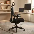 Executive Mesh Study Chair - Black - 2