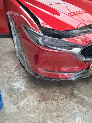 Ufungaji wa PPF wa Kitaalamu na Evonics Customs