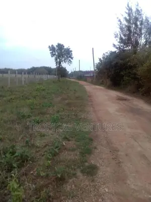 Vitia vya Diani Beach Vinauzwa - Mstari wa 3