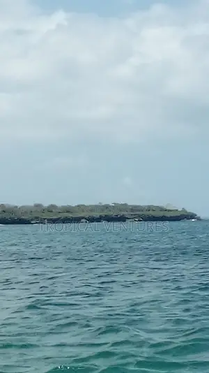 Premium Island Plot with 150m Beach Frontage