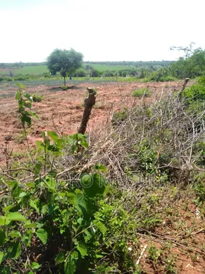 Ten Acres Farmland for Sale in Athi