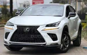 Lexus NX 300 AWD F Sport 2019 Nyeupe