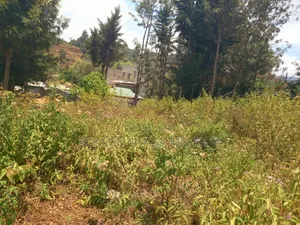 Prime 1/4 Acre Plot for Sale - Kiserian, Kaurai Road, Cianda