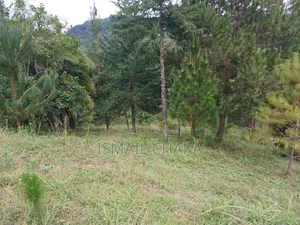 1.5 Acres Land for Sale in Wundanyi, Mbengonyi